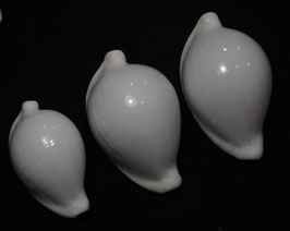 Ovula ovum  68mm-87mm F+++
