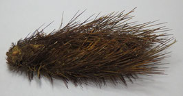 Marine life species  deep water 123mm preserved