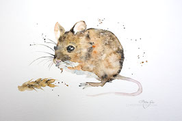 Maus