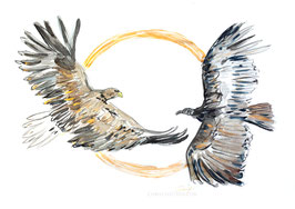 Adler und Kondor