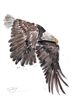 Mit starken Schwingen
