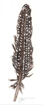Perlhuhn Feder