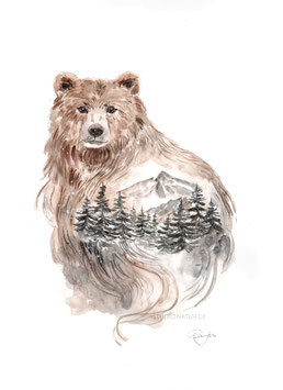 Bär und Wald