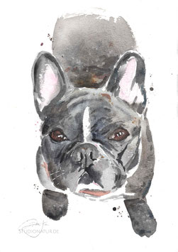 Louis | Hundeportrait