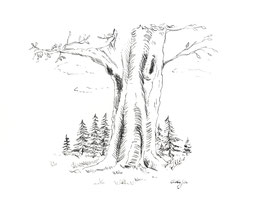Baum