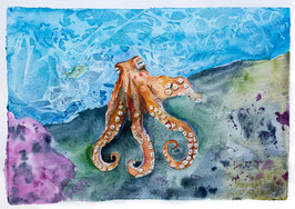 Oktopus