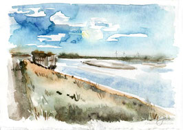 Birding Hide