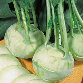 légumes racines