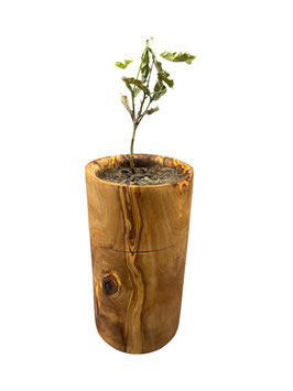 Urne ECO rund