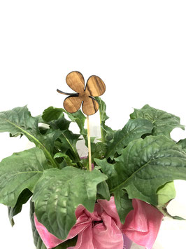 Blumenstecker aus Olivenholz Kleeblatt