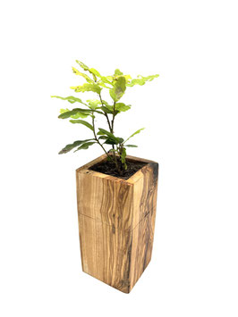 Urne ECO eckig