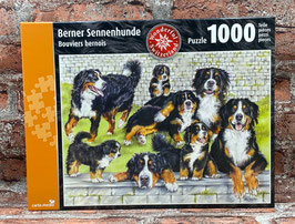 Puzzle Berner Sennenhunde