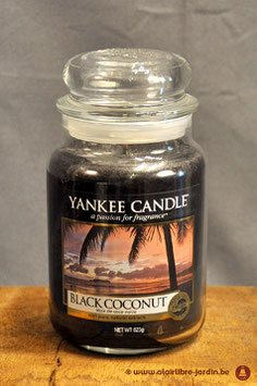 Black Coconut YK