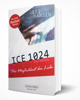 Jess Hansen: ICE 1024 - Die Möglichkeit der Liebe (Der erste Paulsen-Roman)