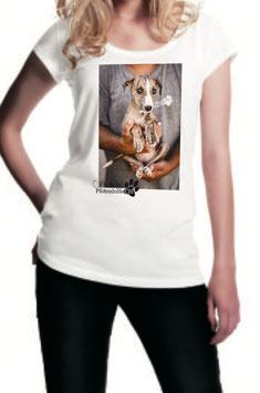 Special Shirt "Dia del Galgo"