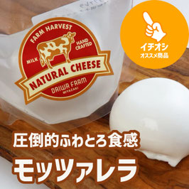 モッツァレラ