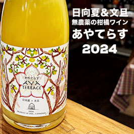 2024あやてらす