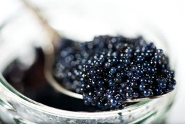 HEIKE CAVIAR キャビア・20ｇ（箱なし）