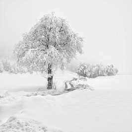 Winter/Villach Land