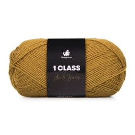 1 Class 01 Ingwer