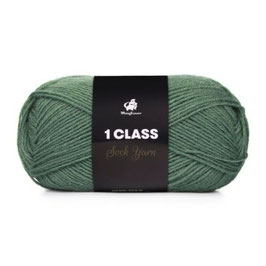 1 Class 26 Echsen Grün