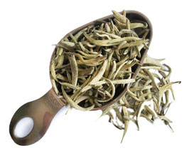 Té Blanco Silver Needle Guangxi White Bud "Agujas de plata"