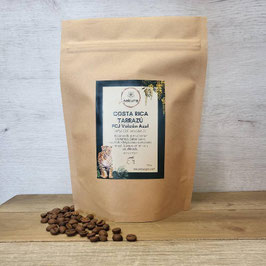 Café Costa Rica " Tarrazú" FCJ Volcán Azul 100% Arábica - Tueste natural