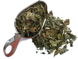 Té Blanco Pai Mu Tan