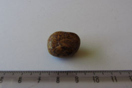 Jaspis - Schlangenjaspis Trommelstein 20 x 16 mm