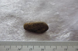 Donnerei - Australischer Amulettstein Trommelstein 20 mm