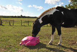 HorseProtect-LightBag/80