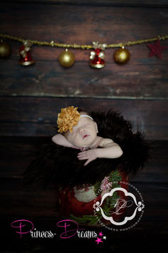HB483b ocker Blume