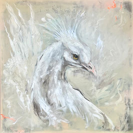 RARE BEHAVIOR (white peacock) Grafik-Edition 40x40 cm