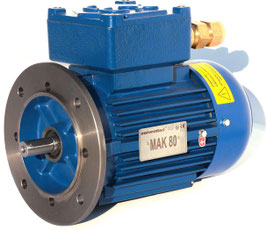 MOTOR TRIFÁSICO ATEX 380V 0,09 KW  (0,12CV)  1500