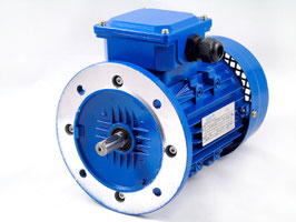 MOTOR TRIFÁSICO 380V 22 KW  ( 60 CV)  1000