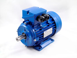 MOTOR TRIFÁSICO 380V 55 KW  ( 75 CV)  1000 B3