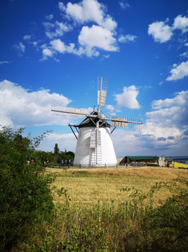 Windmühle "Retzer Wahrzeichen"