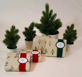 Mannerpackerl im weihnachtlichen Design