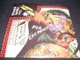 Various ‎– Bremer Punk Bands For Eko Front Benefit CD