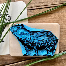 Tampon capybara