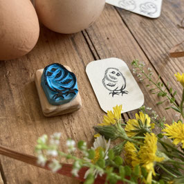 Tampon mini poussin