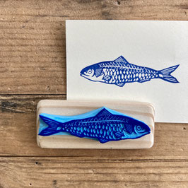 Tampon sardine