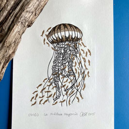 La méduse rayonnée, linogravure originale numérotée, datée, signée
