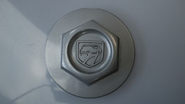 1992-1994 RT10 Wheel Center Cap Chrome