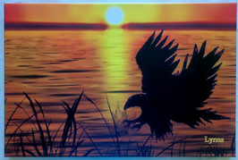 tableau énergétique, L'oiseau pêcheur (peinture numérique imprimé sur toile )