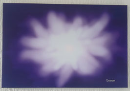 tableau énergétique, Fleur de lumière (peinture numérique imprimé sur toile )