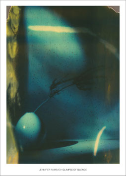 GLIMPSE OF SILENCE