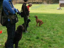 Tagesseminar "Arbeiten im Team" für Einsteiger