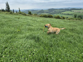 Langes Dummywochenende im Sauerland