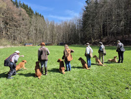 Dummy-Intensivwoche im Naturpark Augsburg - Westliche Wälder 2027